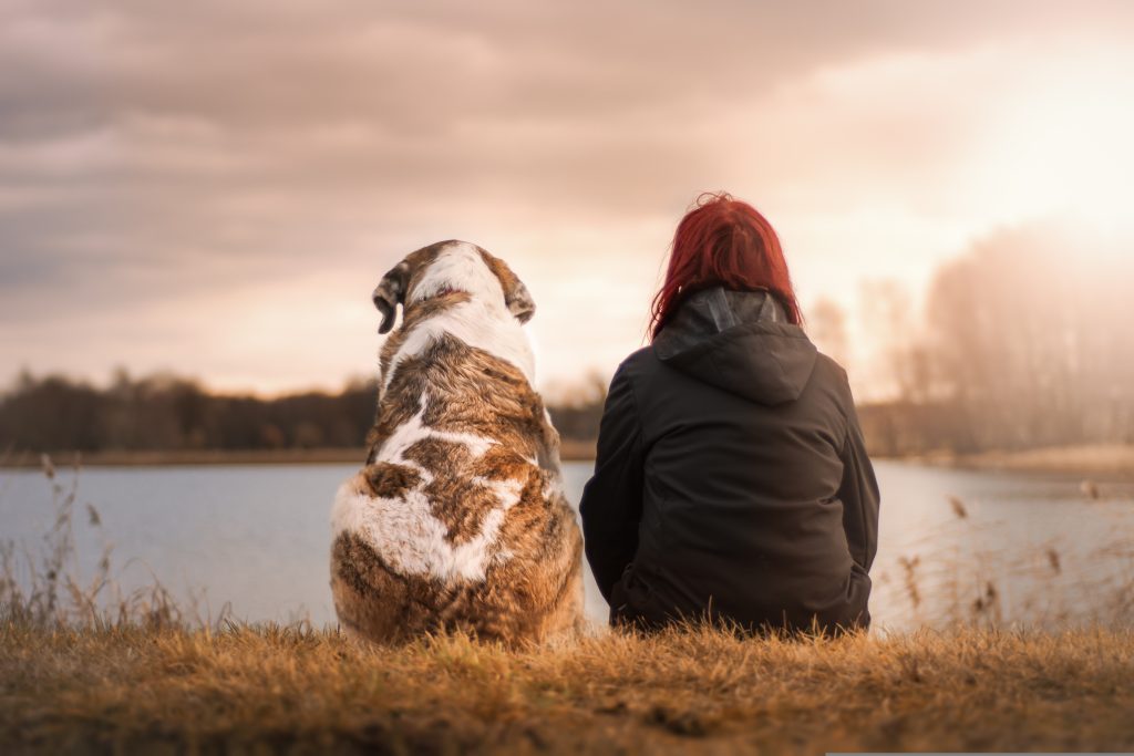 woman sitting near lake with her dog
